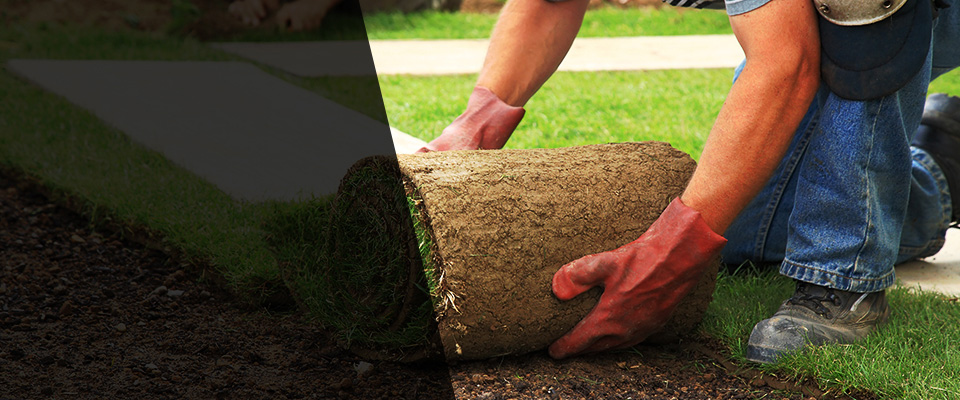 Beaver Dam Landscapers